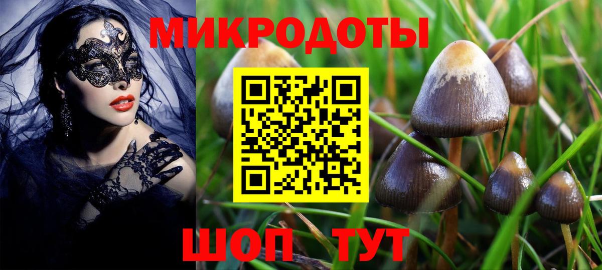 Псилоцибиновые грибы ЛСД Фролово