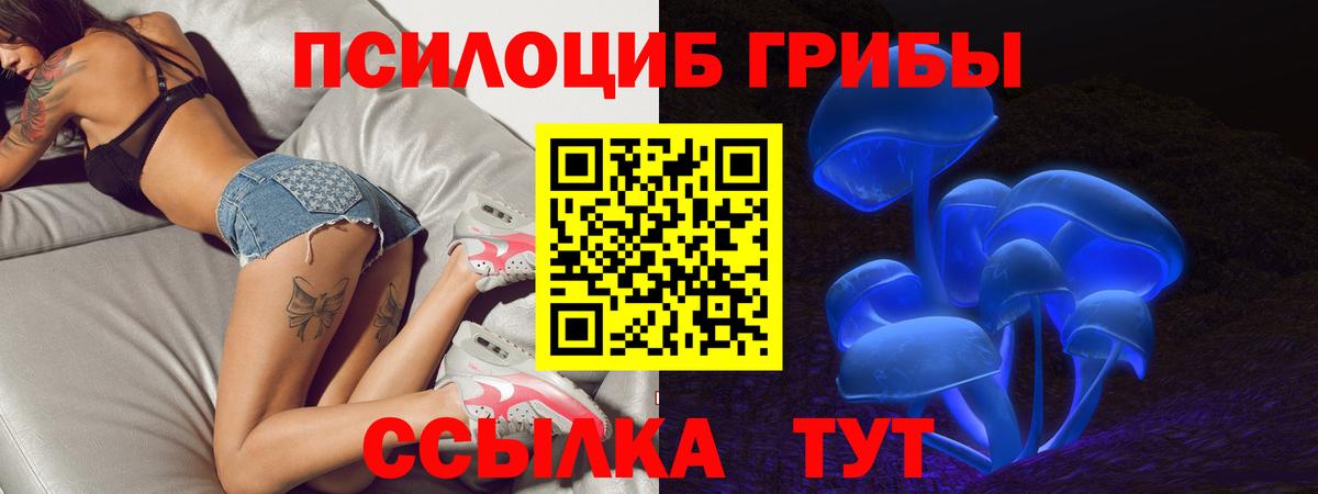 Фролово  Псилоцибиновые грибы Psilocybine cubensis  Вход с VPN 
