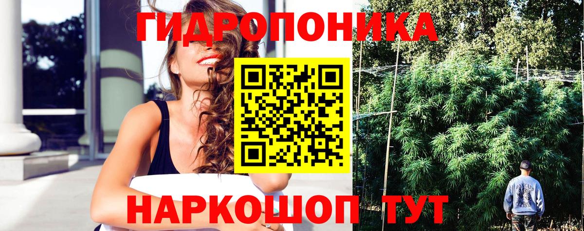Каннабис OG Kush  Шишки марихуана MAZAR  Шишки марихуана Bruce Banner  Канабис план  Фролово  Вход с VPN 